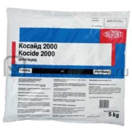 Косайд 2000