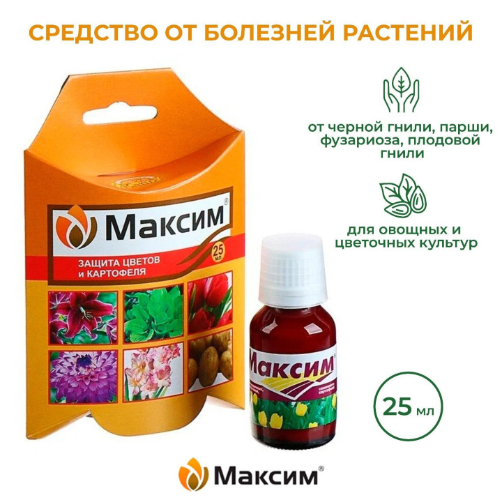 МАКСИМО