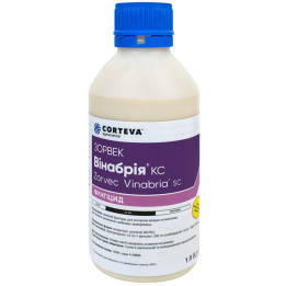 ВІНЕЦЬ