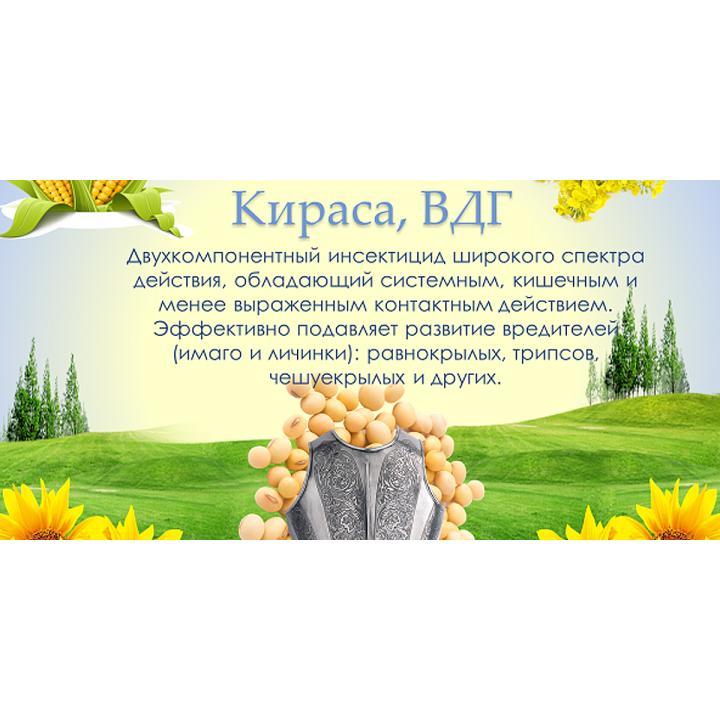 КІРАСА