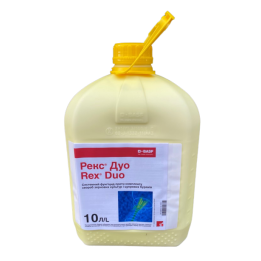 РЕКС ДУО