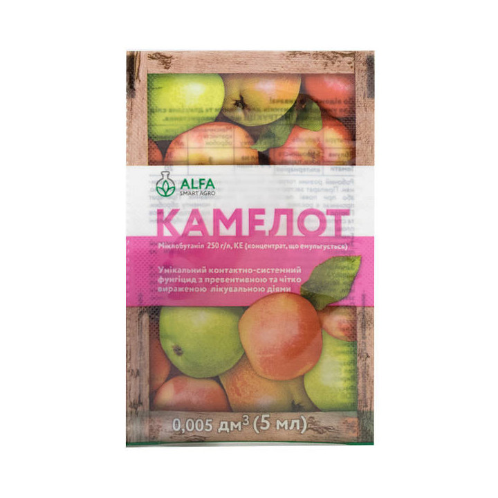 Камелот