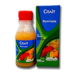 Спліт