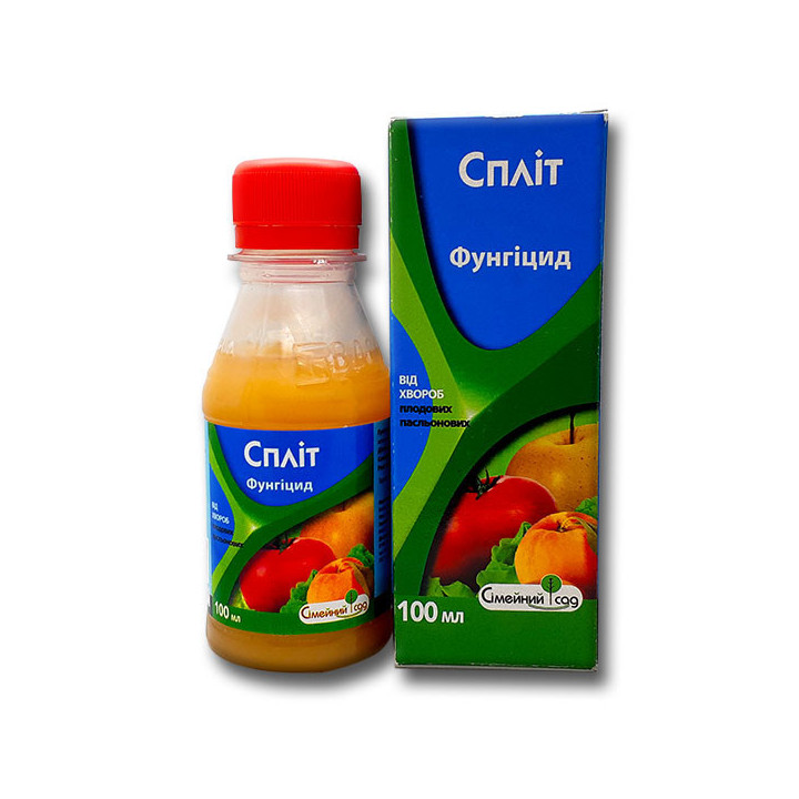 Спліт