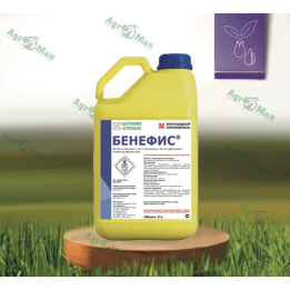 Бенефіс