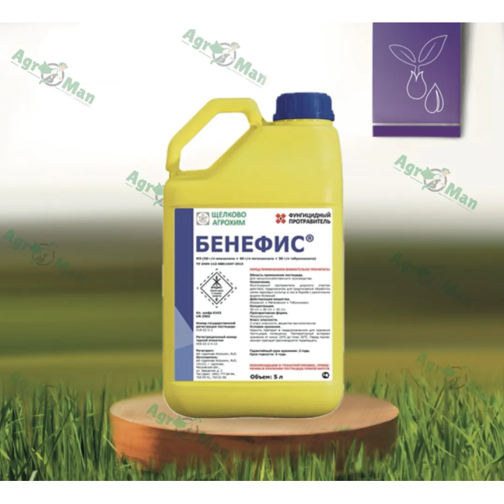 Бенефіс