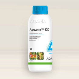 Ардент КС