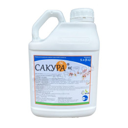 Сакура