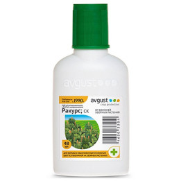 ДК РАКУРС