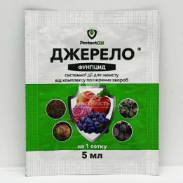 ПРОТЕКТОР