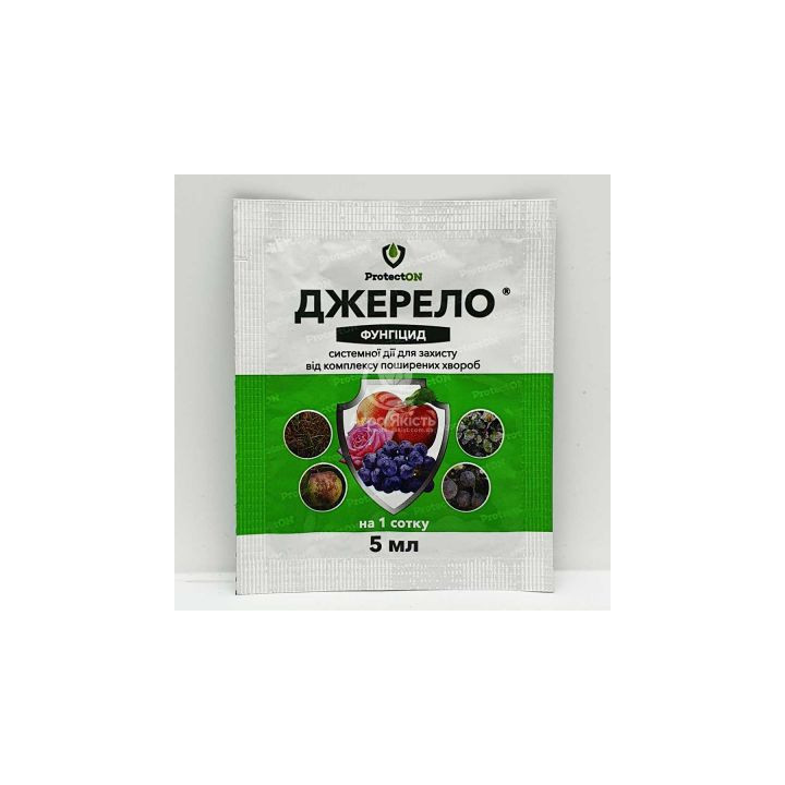 ПРОТЕКТОР