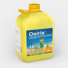 Осіріс Стар