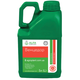 Венцедор