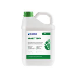 МАЕСТРО