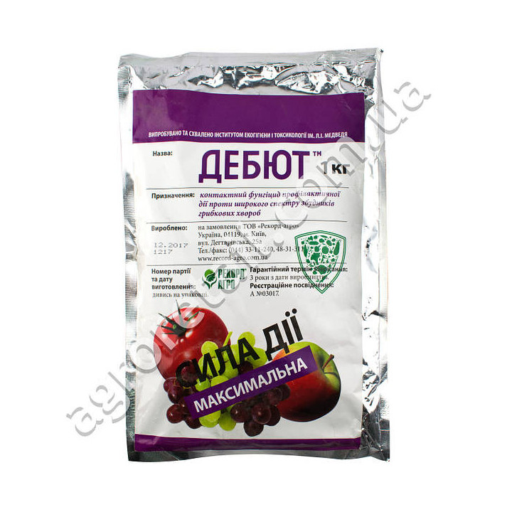 РЕКОРД