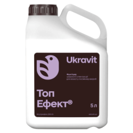 ТОП ЕФЕКТ