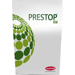 ПРЕСТОП
