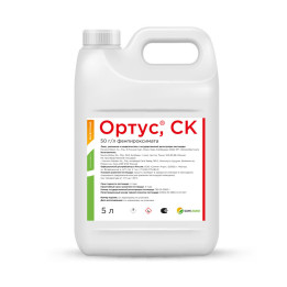 Ортус