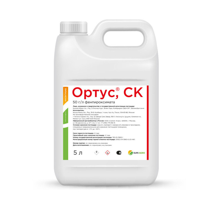 Ортус