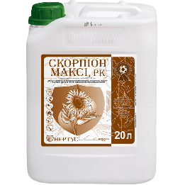 Скорпіон Максі