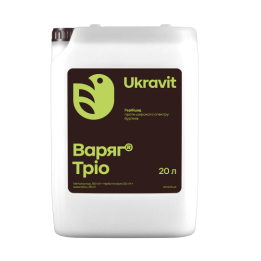 ВАРЯГ ТРІО, СЕ