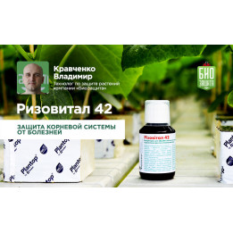 Різовітал 42