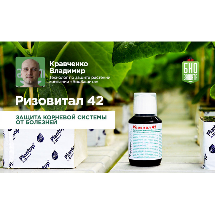 Різовітал 42