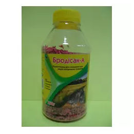 Бродісан А