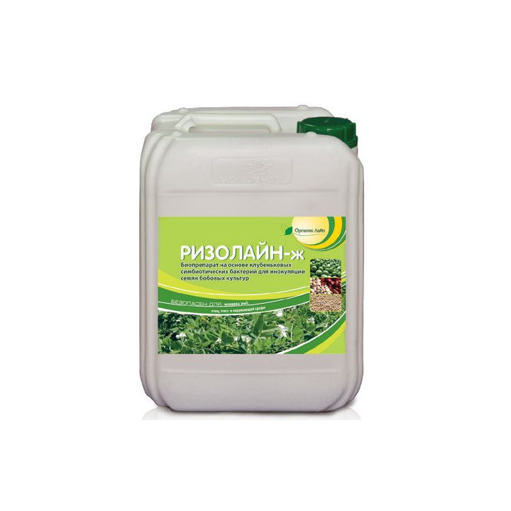 РИЗОЛАЙН