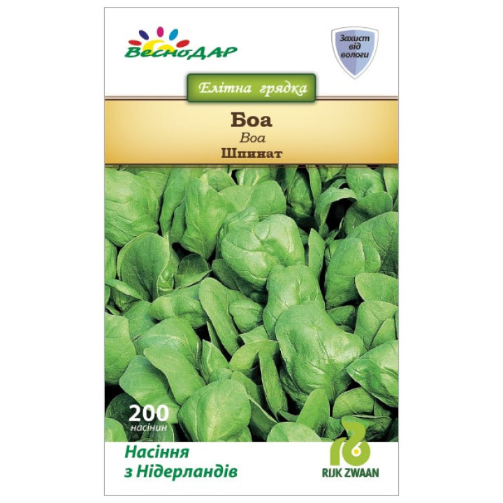 Boa