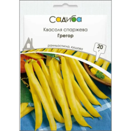 Арія