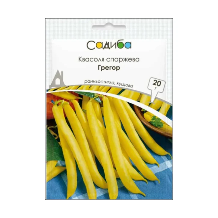 Арія