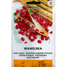 Wawelska / Вавельська