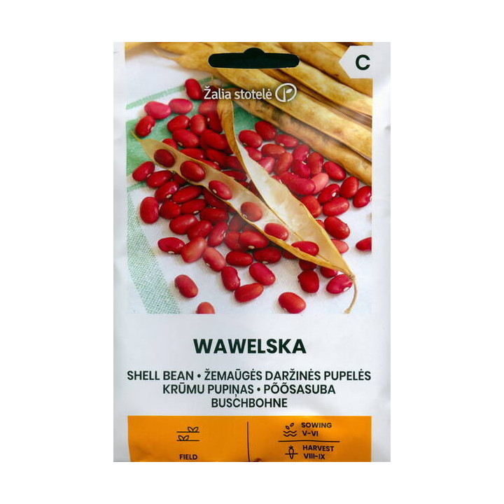 Wawelska / Вавельська