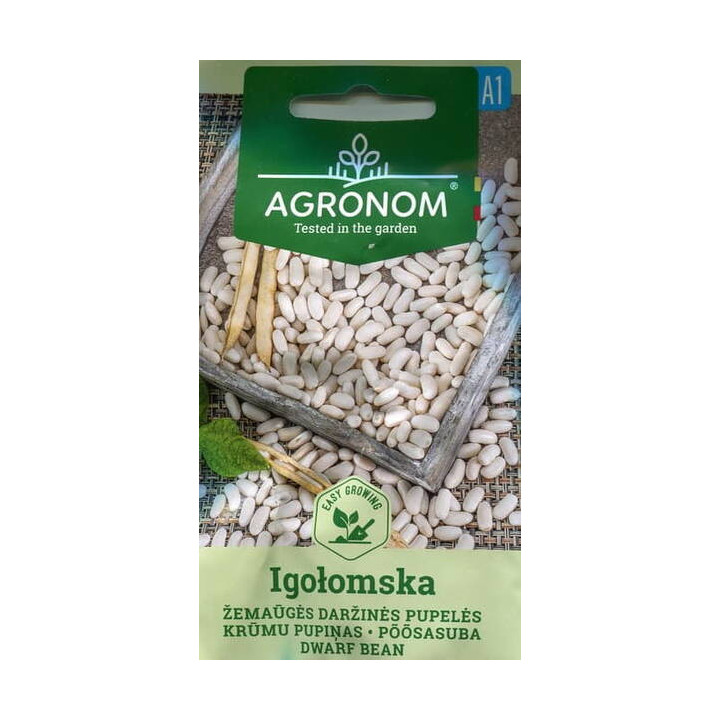 Igolomska / Іголомська