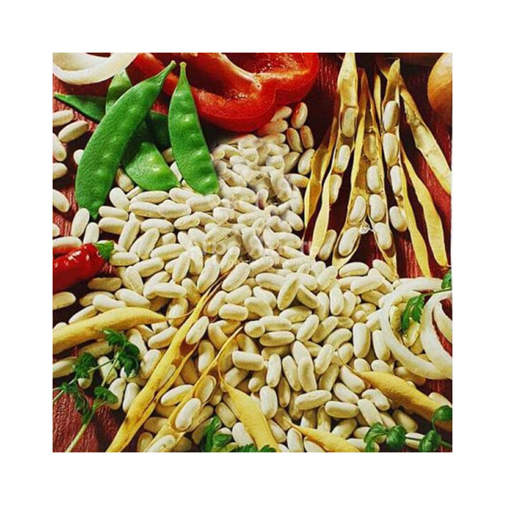 Cannellino / Каннелліно