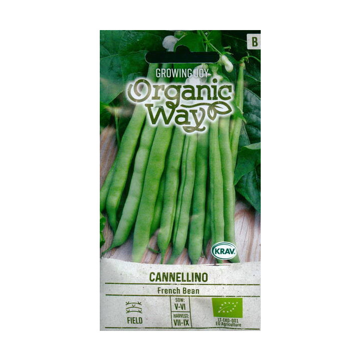Cannellino / Каннелліно