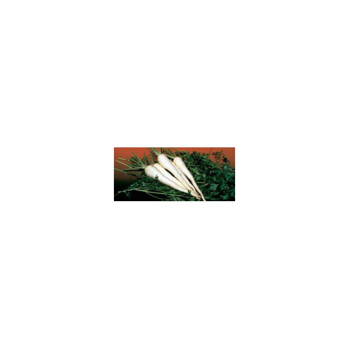 Игл / Eagl