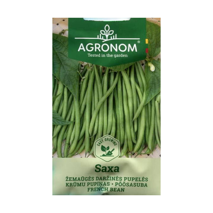 Saxa / Сакса