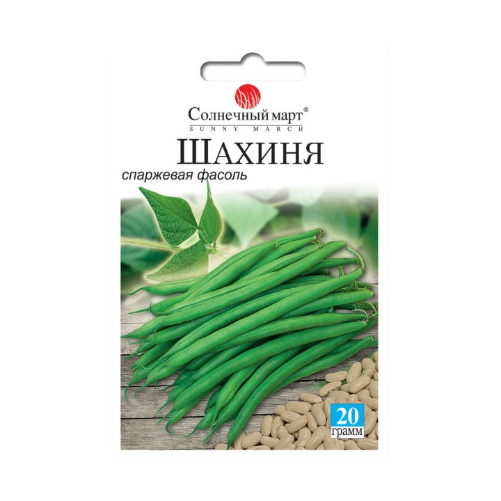 Шахиня