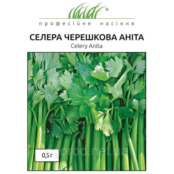 Анита / Аніта