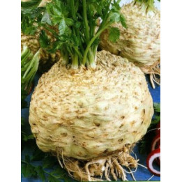 Monarh / Монарх