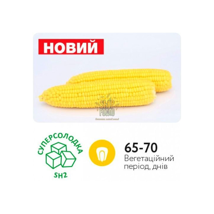 Baha / Баха
