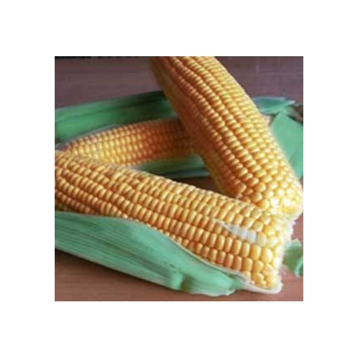 GSS 1477 F1 / ГСС 1477 F1