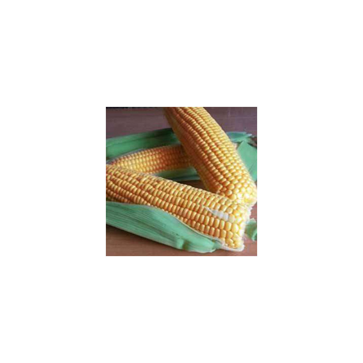 GSS 1477 F1 / ГСС 1477 F1