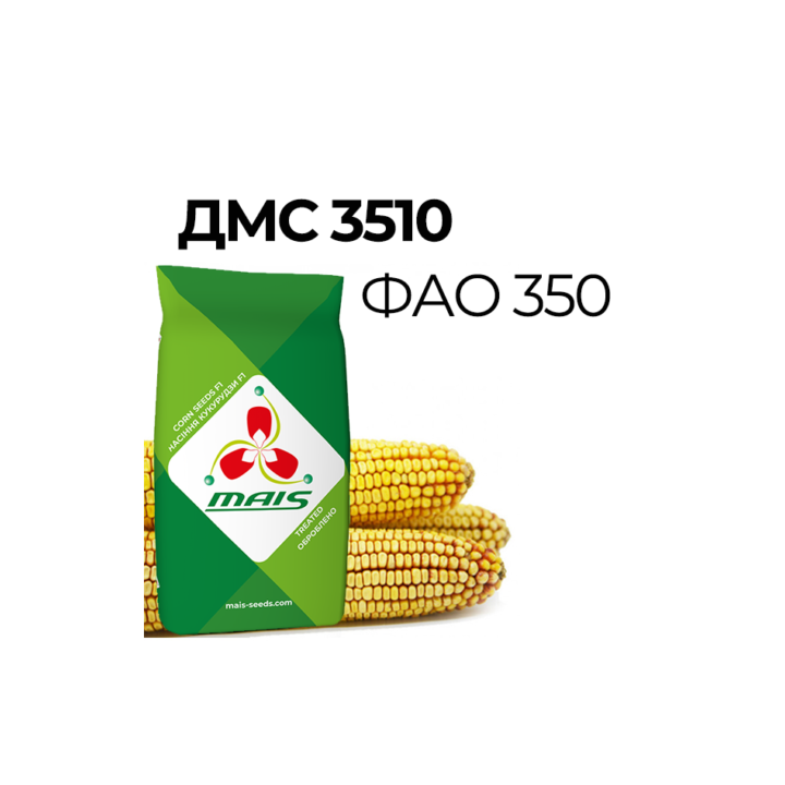 ДМС Шафран
