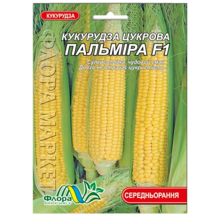 ДН Пальміра