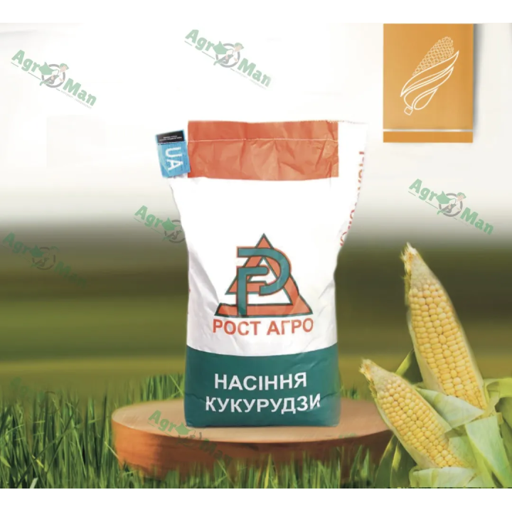 ДН Сибарит