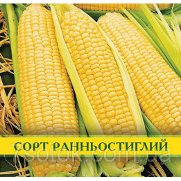 Євгелія