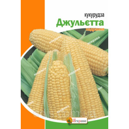ZUY2835OL / ЗУІ2835ОЛ